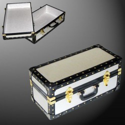16-061 AS ALLOY Single 100 Storage Trunk with ABS Trim